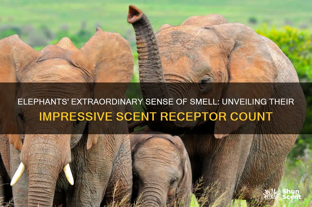 how many scent receptors does an elephant have