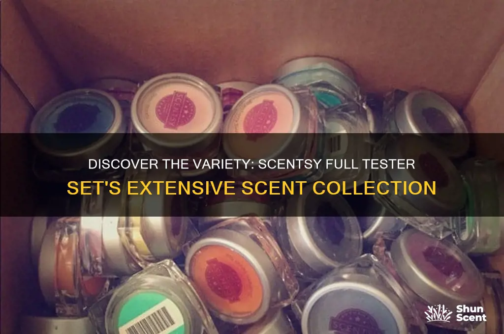 how many scents are in the scentsy full tester set