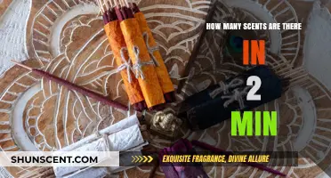 Exploring the Vast World of Scents in Just 2 Minutes