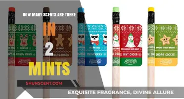 Exploring the Surprising Variety of Scents in Just 2 Mints