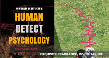 Exploring the Psychological Limits of Human Scent Detection Abilities