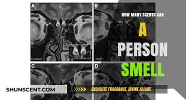 Exploring the Human Olfactory Limit: How Many Scents Can We Detect?