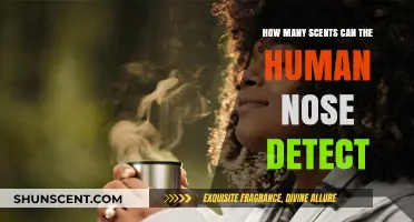 Unveiling the Astonishing Range of Scents the Human Nose Can Detect