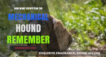 Mechanical Hound's Olfactory Memory: How Many Scents Can It Recall?