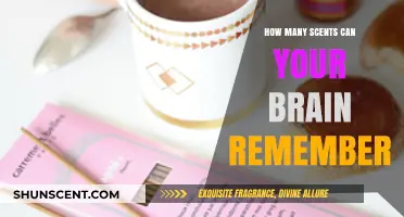 Unlocking the Brain's Olfactory Memory: How Many Scents Can You Recall?