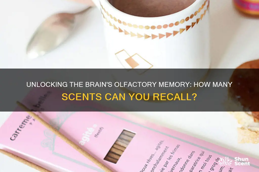 how many scents can your brain remember