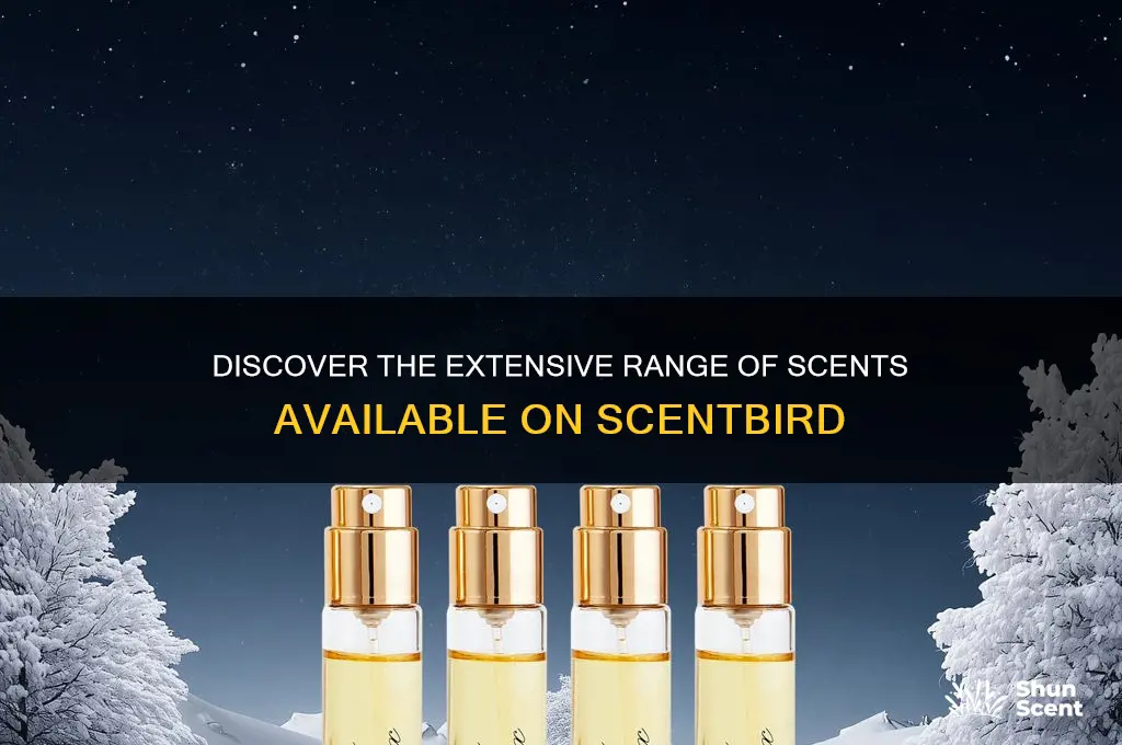 how many scents come in scentbird
