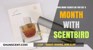 Explore New Scents Monthly with Scentbird's Perfume Subscription
