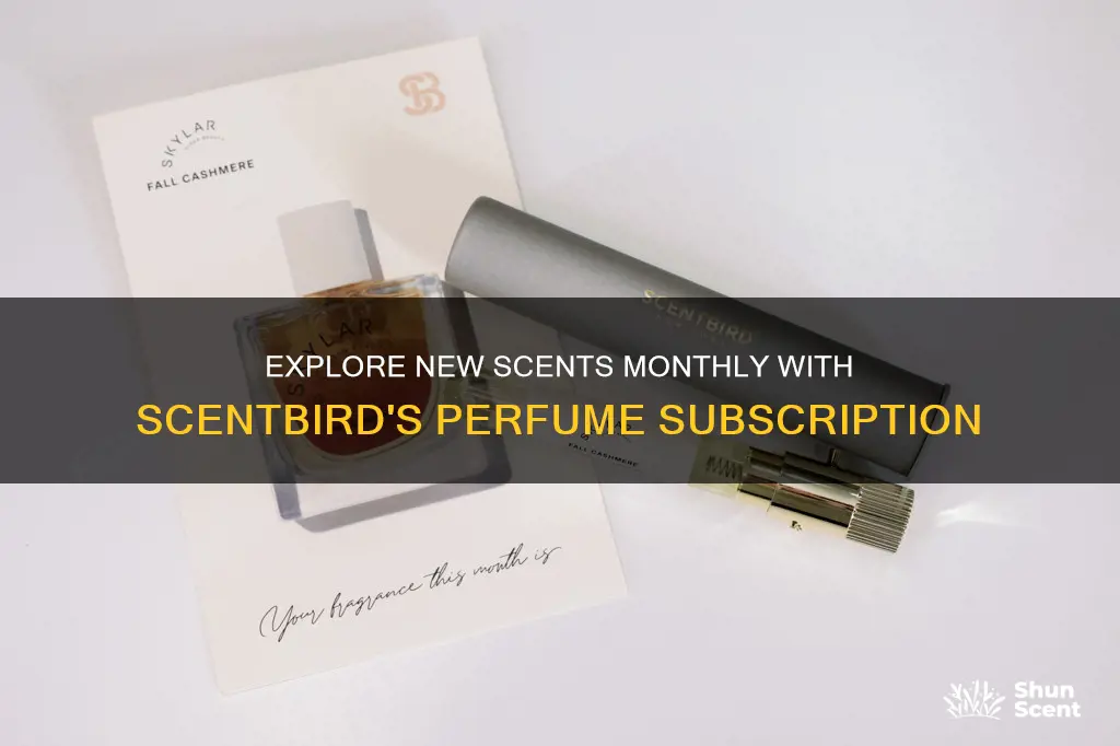 how many scents do you get a month with scentbird