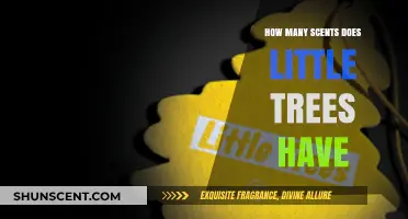 Exploring Little Trees' Extensive Range of Unique Air Freshener Scents