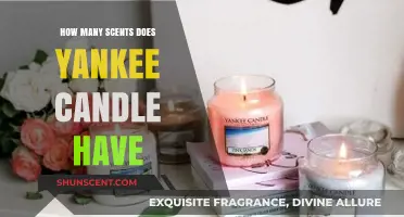 Exploring the Vast Collection of Yankee Candle Scents Available