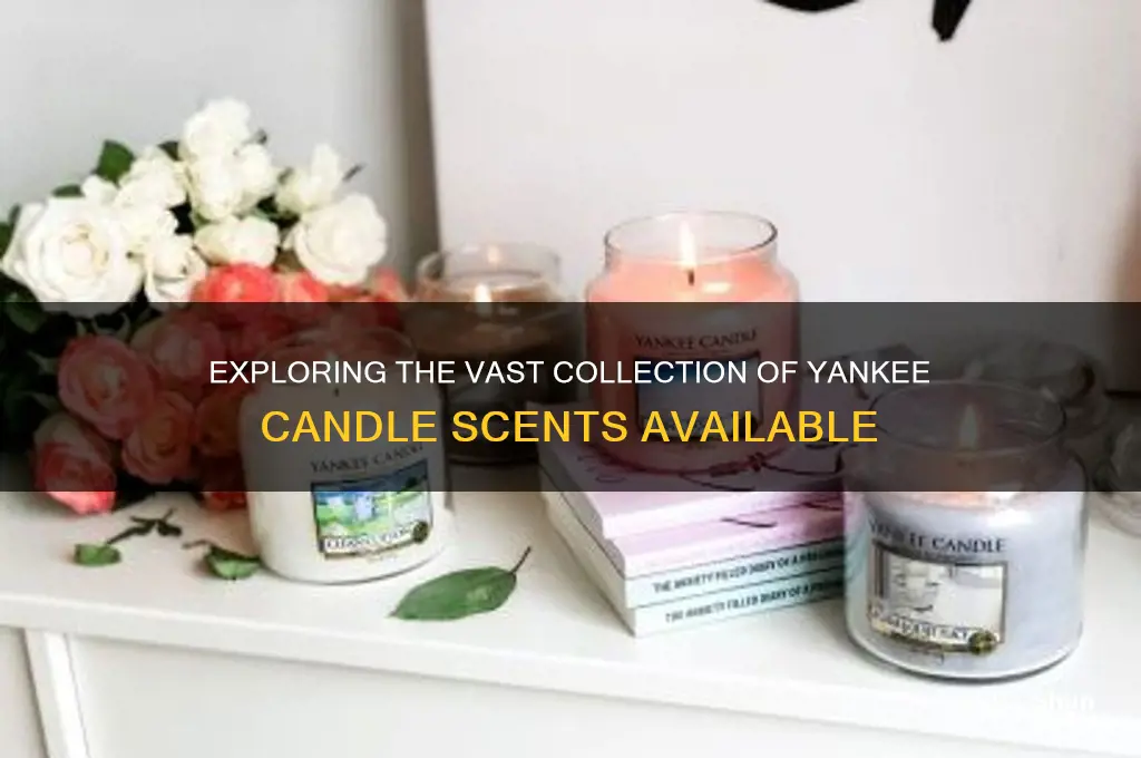 how many scents does yankee candle have