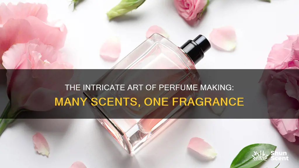 how many scents in a typical perfume