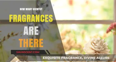 Scentsy's Scented Journey: Exploring the Full Fragrance Collection