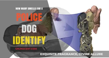 Unleashing the Power of Police Dogs' Incredible Sense of Smell