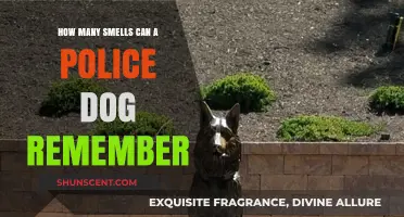 Unleashing the Power of Canine Memory: A Deep Dive into Police Dogs' Remarkable Sense of Smell