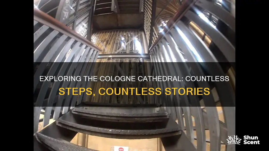 how many stairs in the cologne cathedral