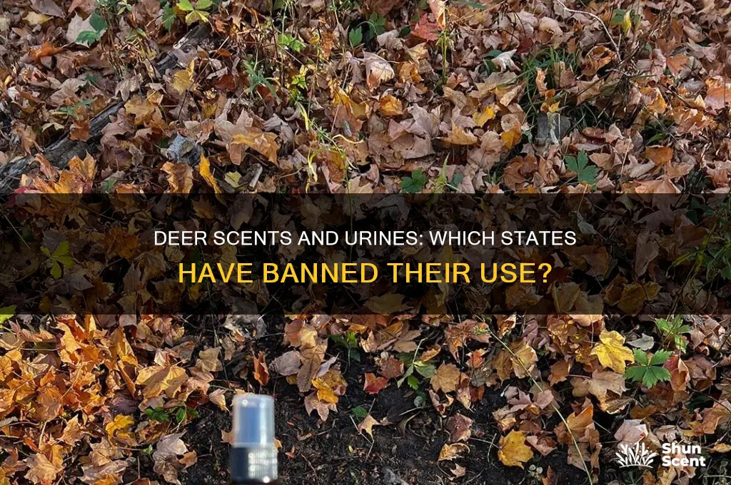 how many states ban deer scents and unrines