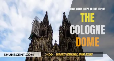 The Long Climb: Cologne Dome's Summit Steps