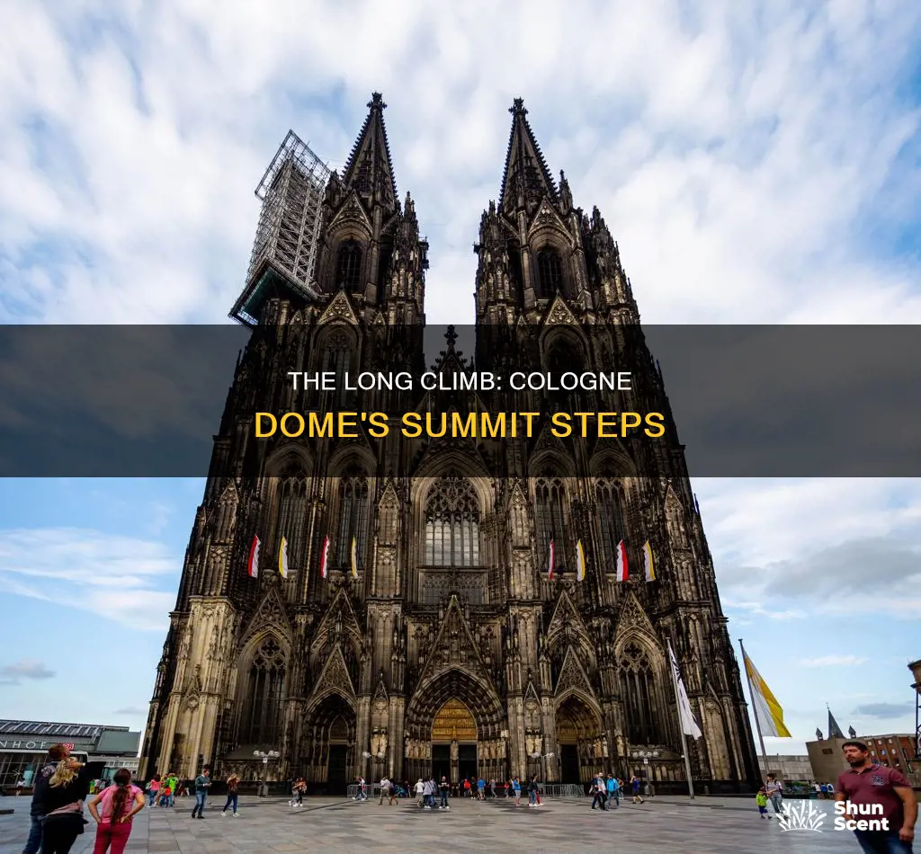 how many steps to the top of the cologne dome