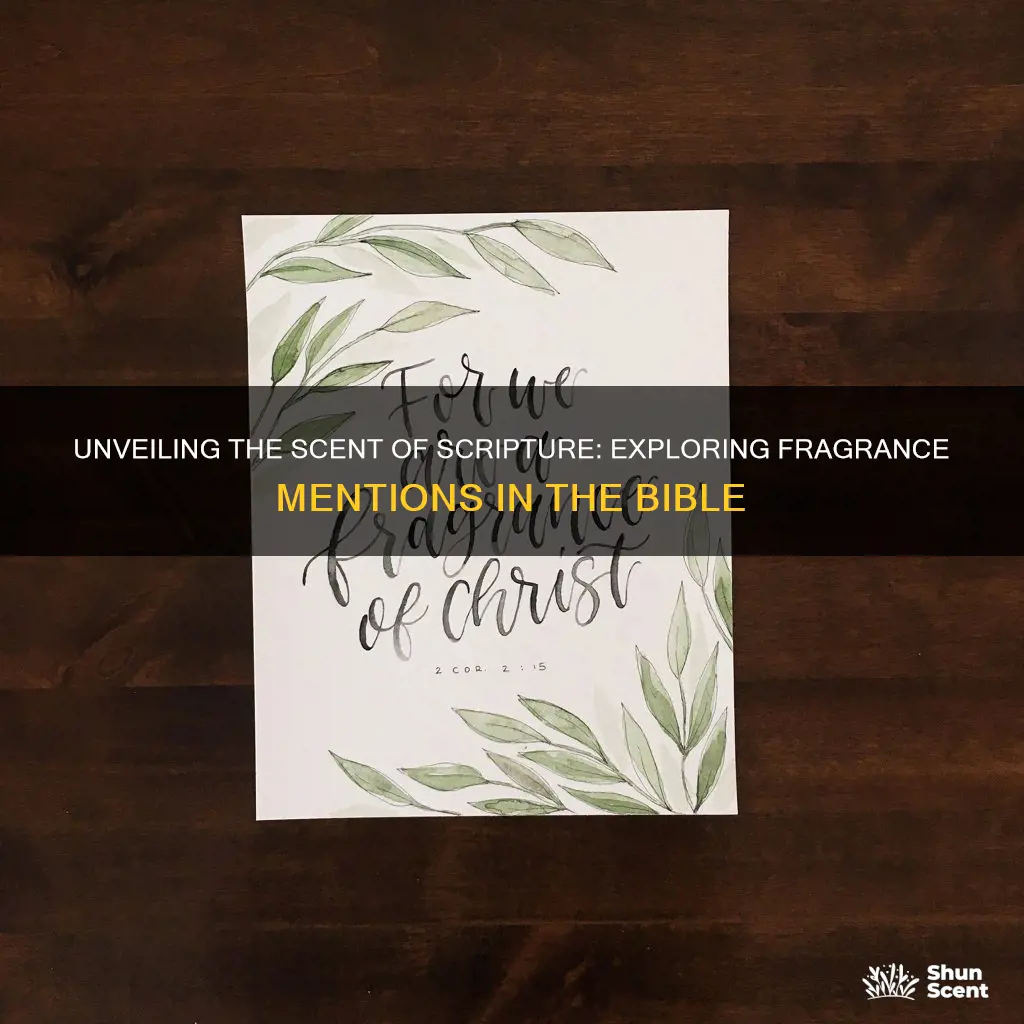 how many times is fragrance mentioned in the bible