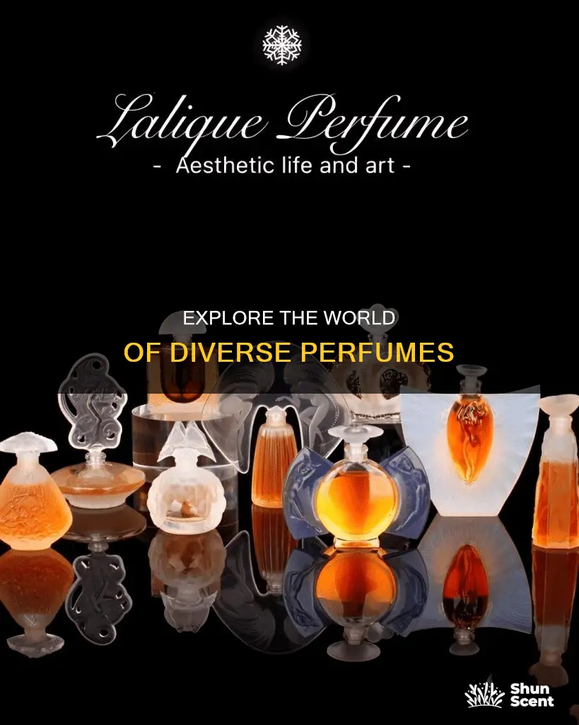 how many type of perfume