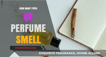 Explore the Fragrance Universe: Types of Perfume Scents