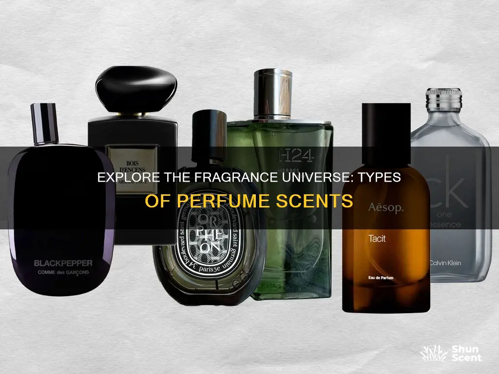 how many types of perfume smell