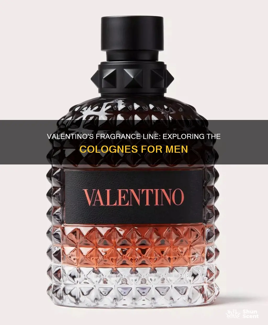 how many valentino colognes are there