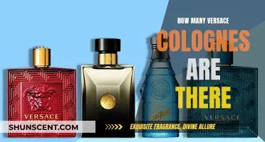 The Extravagant World of Versace: Exploring Their Colognes