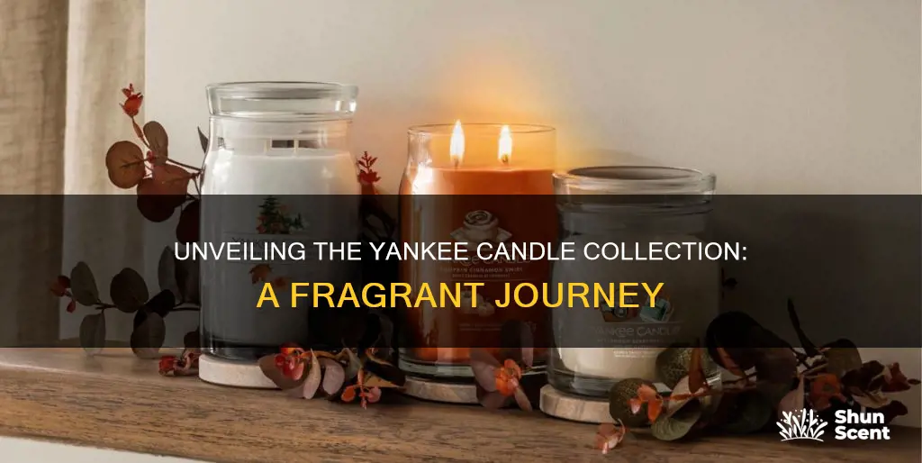 how many yankee candle fragrances are there