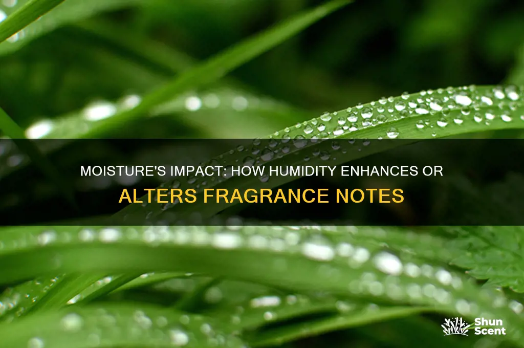 how moisture affects scents