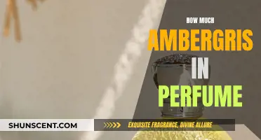 The Magic of Ambergris in Perfumes