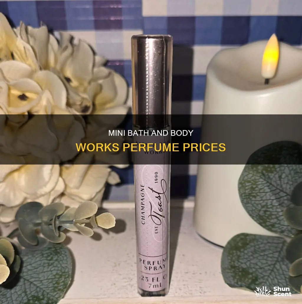 how much are mini bath and body works perfumes