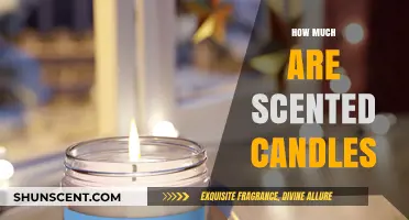 Exploring the Cost of Scented Candles: Affordable Luxury or Pricey Indulgence?