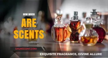 Exploring the Cost of Scents: A Comprehensive Price Guide