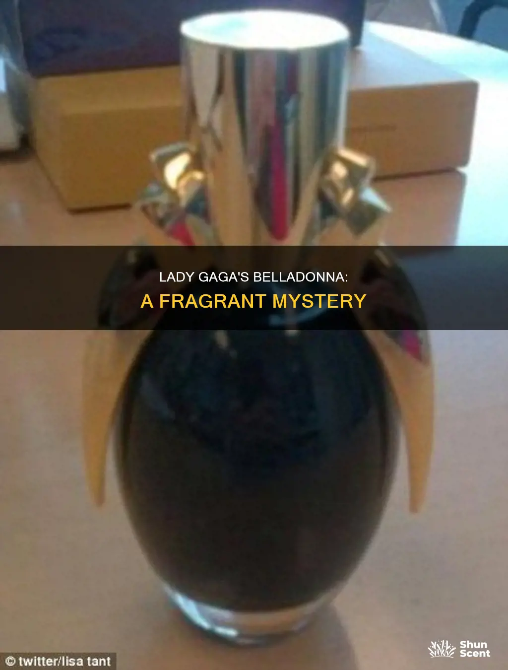 how much belladona is in lady gaga perfume