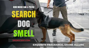 Unleashing the Power: A Police Search Dog's Incredible Sense of Smell