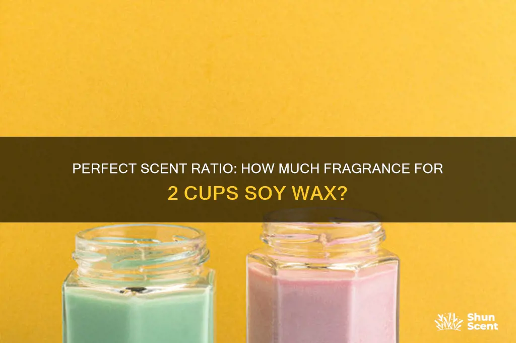 how much candle scent for two cups melted soy wax