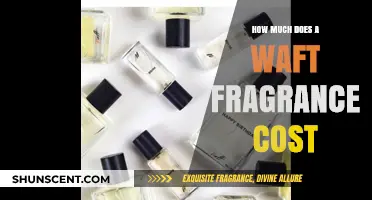 Unveiling the Price of a Whiff: Fragrance Costs Explained