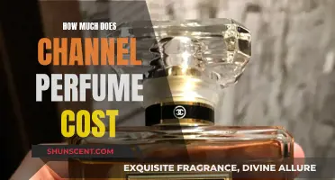 Channel Perfume: How Much Does It Cost?