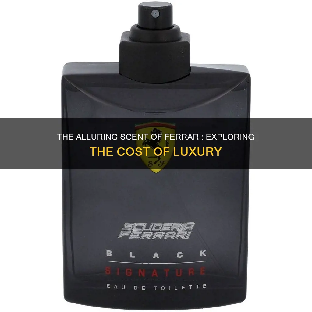 how much does ferrari cologne cost