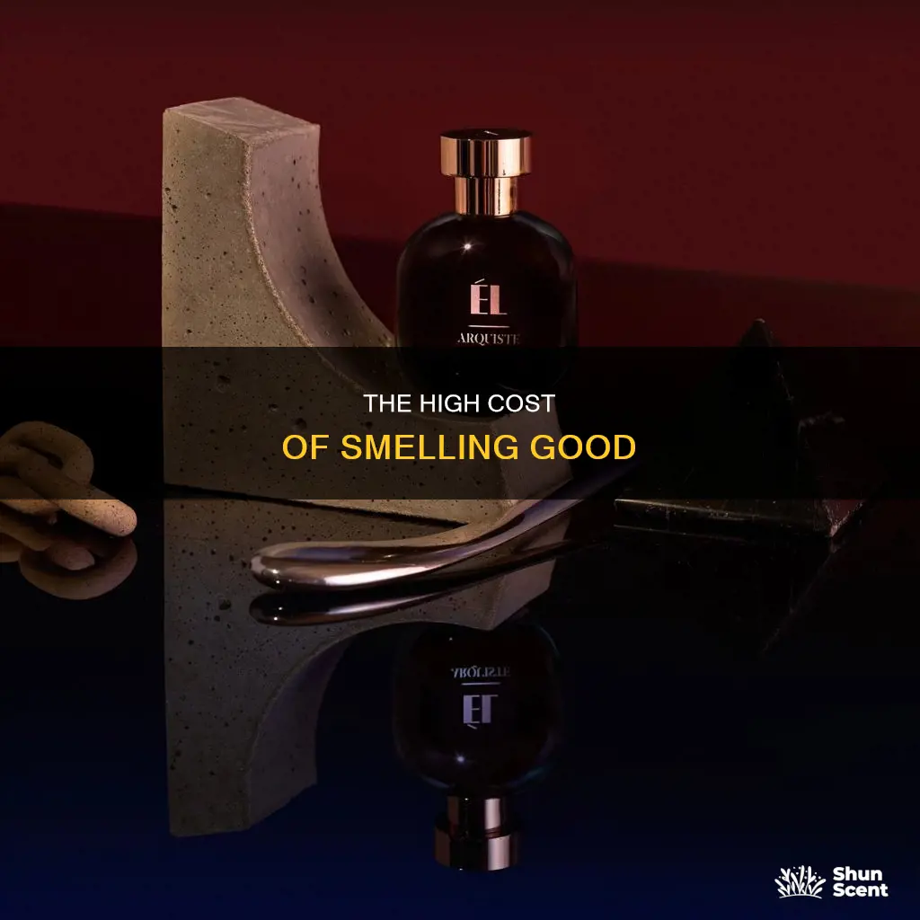 how much does fragrance cost