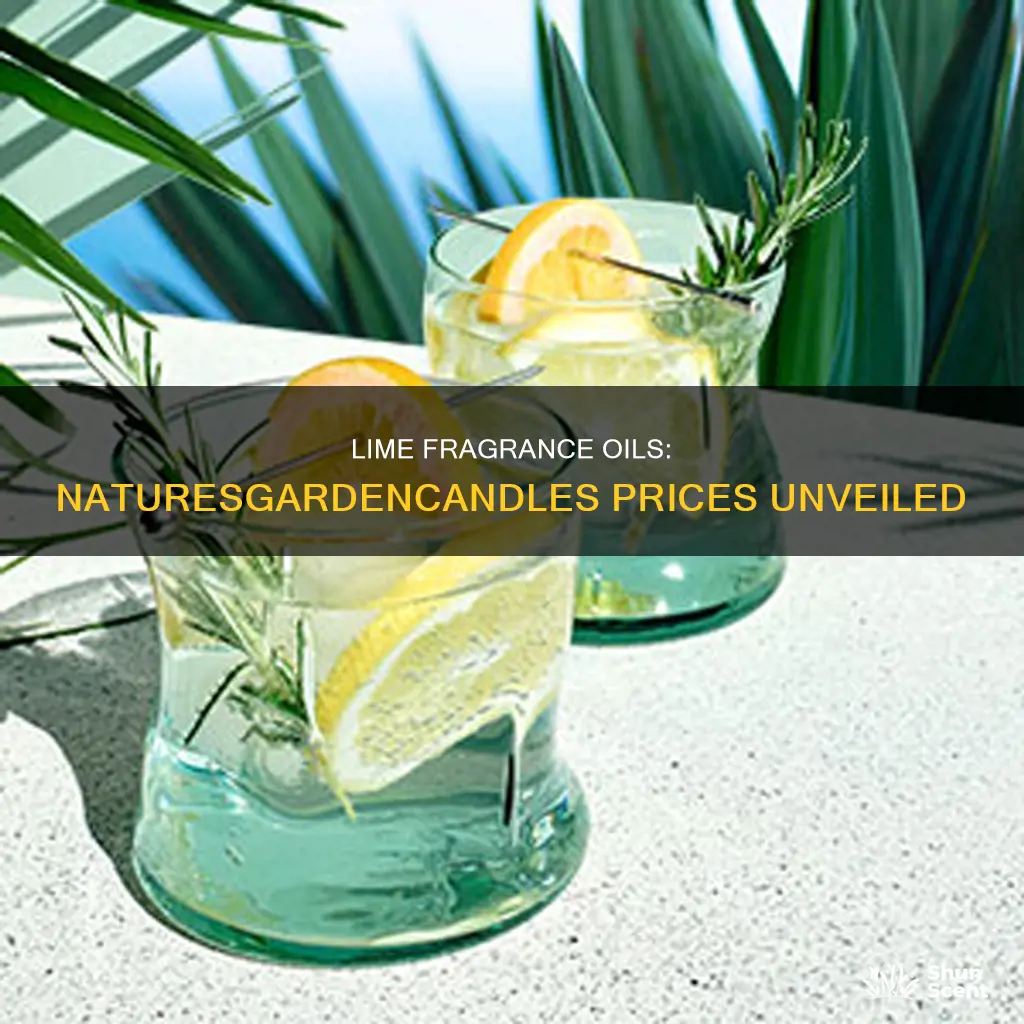 how much does lime fragrance oils cost at naturesgardencandles