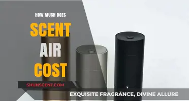 Scent Air Cost: Exploring the Price of Aromatic Experiences