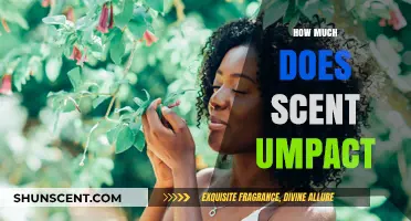 The Surprising Power of Scent: How Much Does It Truly Impact?