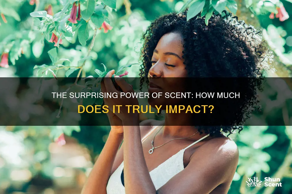 how much does scent umpact