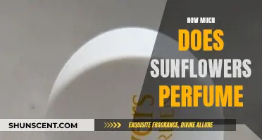 Sunflowers Perfume: A Fragrant and Affordable Delight