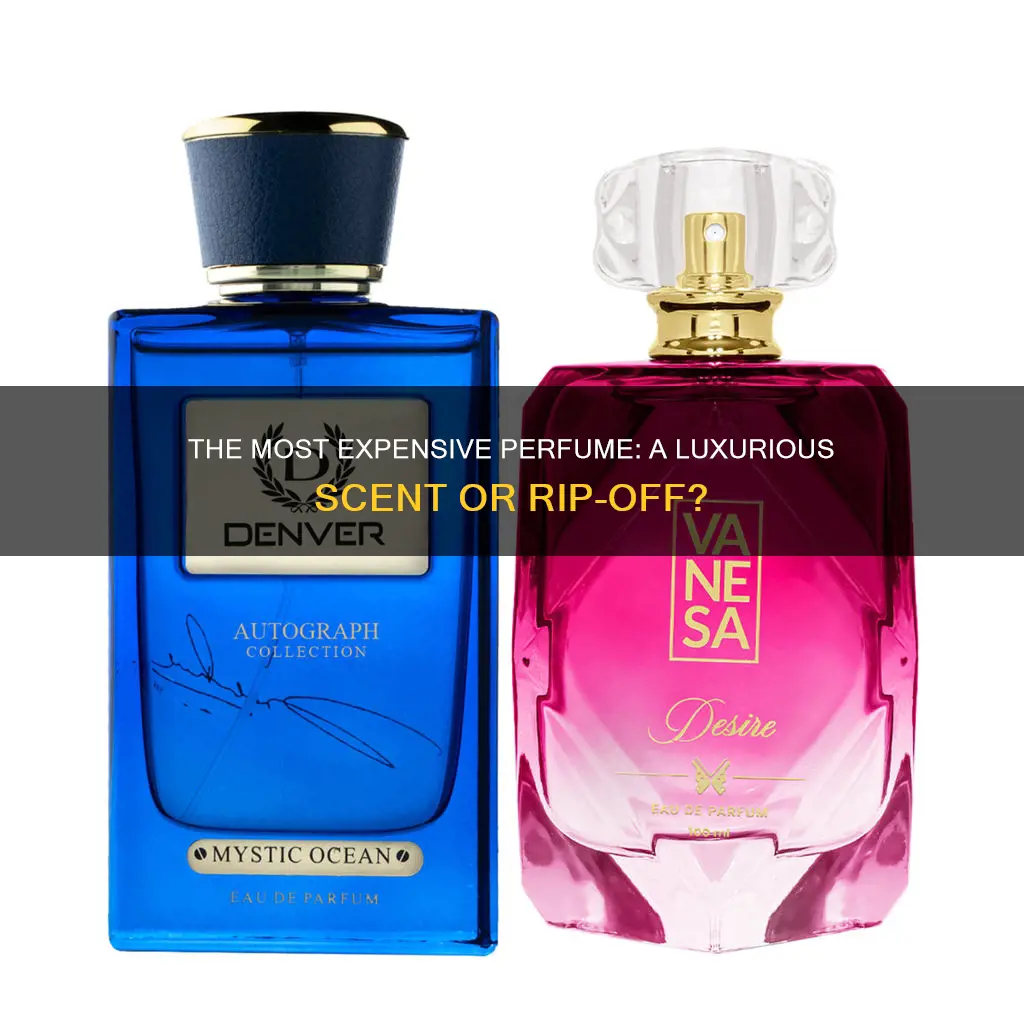 how much does the most expensive perfume cost