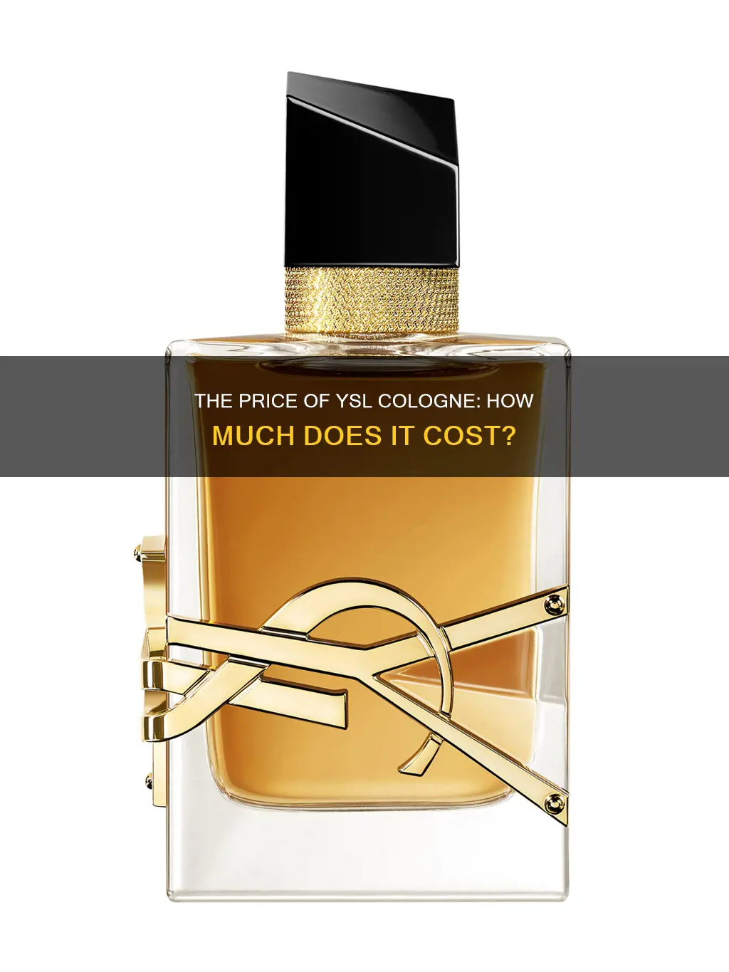 how much does ysl cologne cost